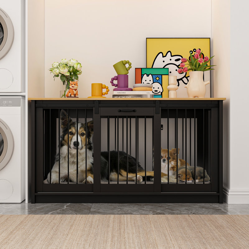 Tucker Murphy Pet™ Barn Door Dog Crate With Lock & Reviews Wayfair